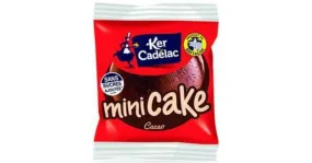 Mini cake chocolat en lot de 60